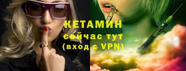 шишки Беломорск