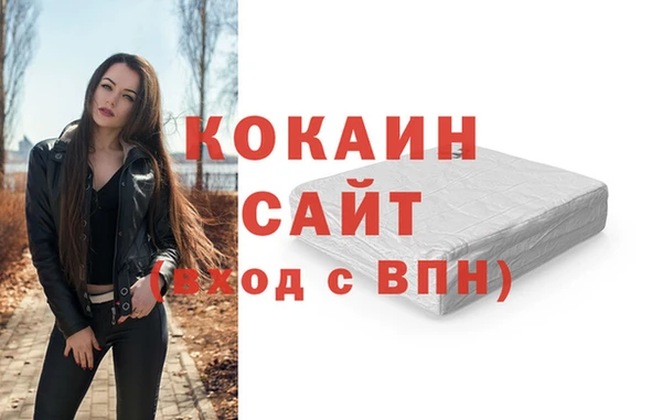 шишки Беломорск