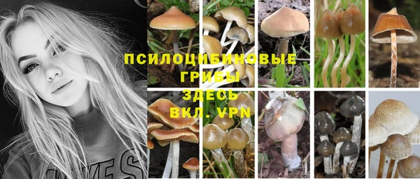 a pvp Белокуриха