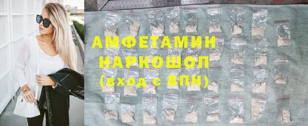шишки Беломорск