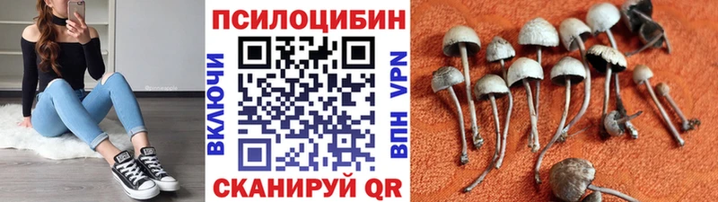 Псилоцибиновые грибы мухоморы  ссылка на мегу tor  Облучье 